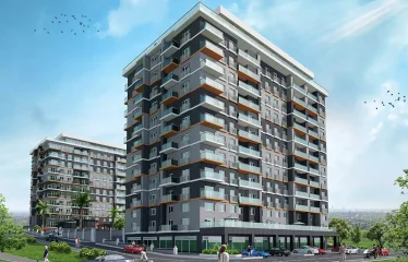 Sea Palm 212