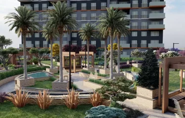 Sea Palm 212