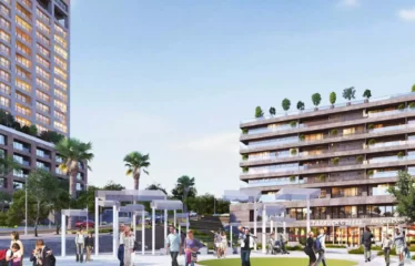 Dap yeni levent