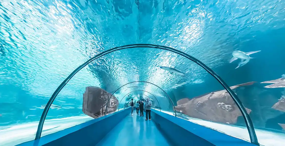 antalya aquarium, Places To Visit In Antalya