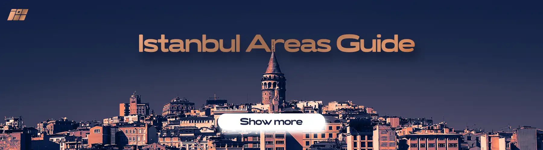 Istanbul areas guide,